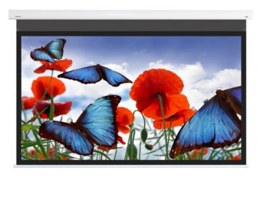 Màn chiếu DNP Supernova Flex